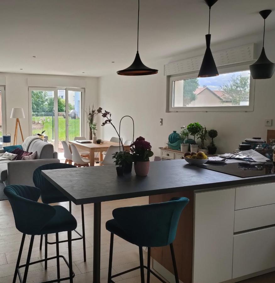La Maison Bleue, A 20 Mn De Strasbourg, Sur La Route Des Vins, Jusqu'A 6 Personnes, Sélestat Eksteriør bilde