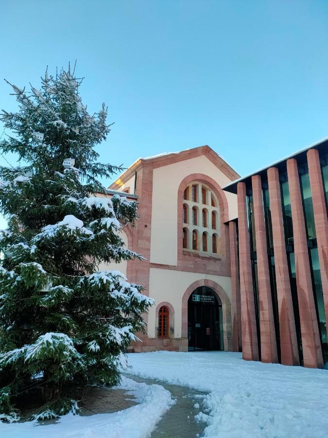La Maison Bleue, A 20 Mn De Strasbourg, Sur La Route Des Vins, Jusqu'A 6 Personnes, Sélestat Eksteriør bilde