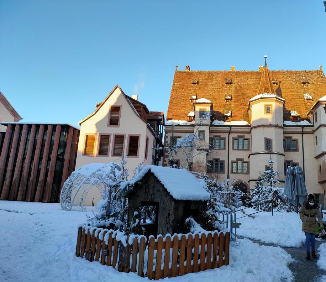 La Maison Bleue, A 20 Mn De Strasbourg, Sur La Route Des Vins, Jusqu'A 6 Personnes, Sélestat Eksteriør bilde