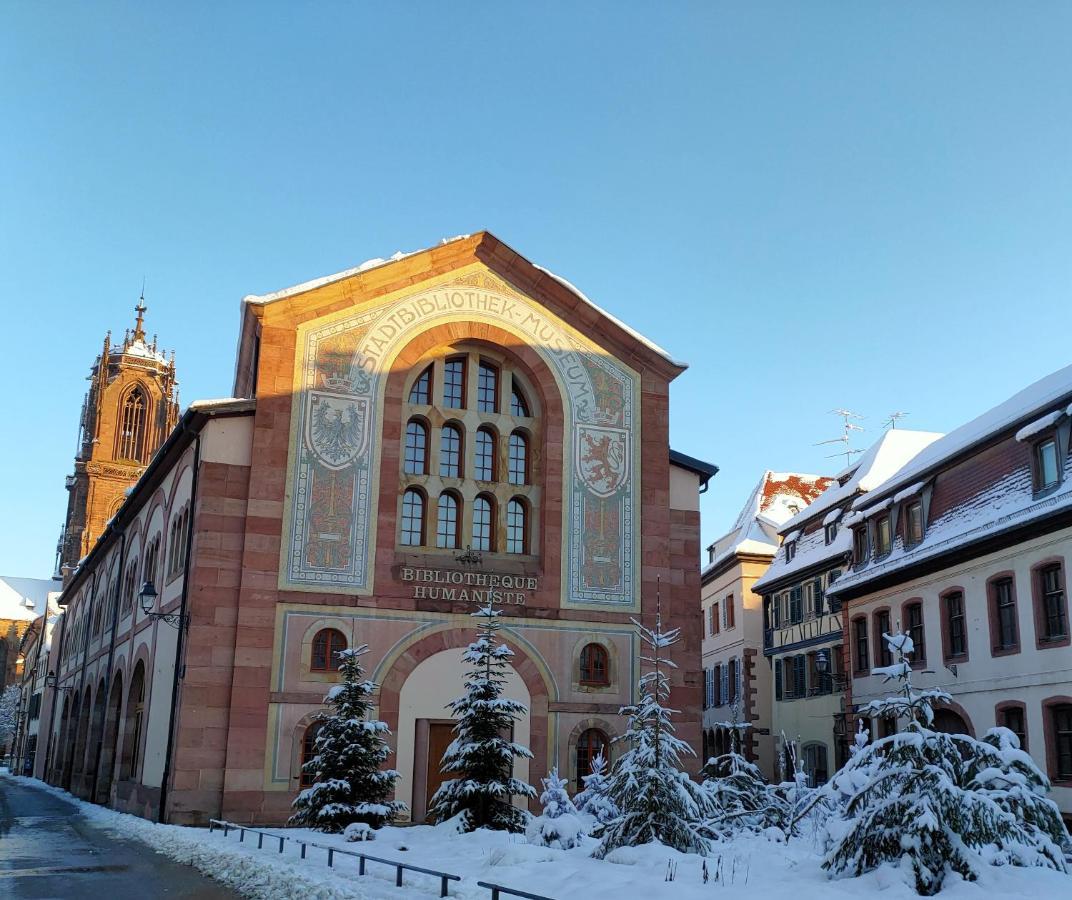 La Maison Bleue, A 20 Mn De Strasbourg, Sur La Route Des Vins, Jusqu'A 6 Personnes, Sélestat Eksteriør bilde